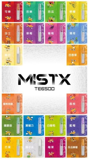 鴨 鴨嘴獸 6500口拋棄式 | 人體工學吸嘴設計 | 台灣現貨